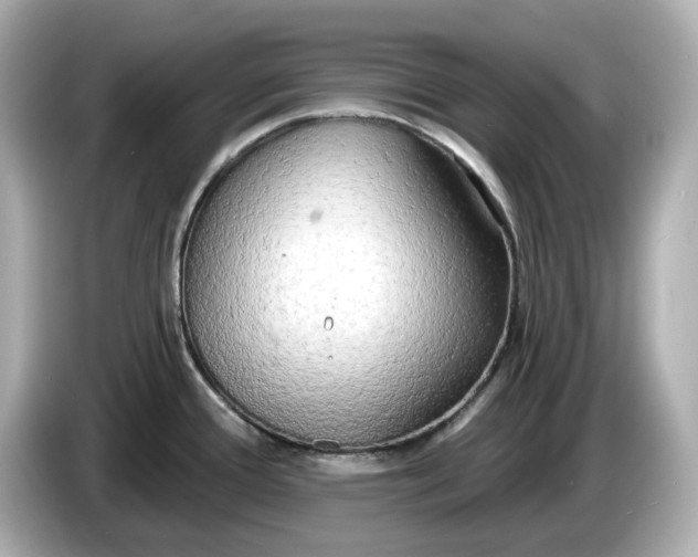 X0000086001388200704091029