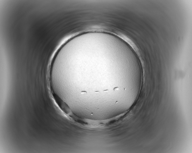 X0000086001392200704091029