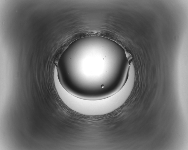 X0000086001394200704091029