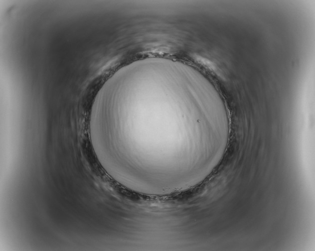 X0000086001399200704091029