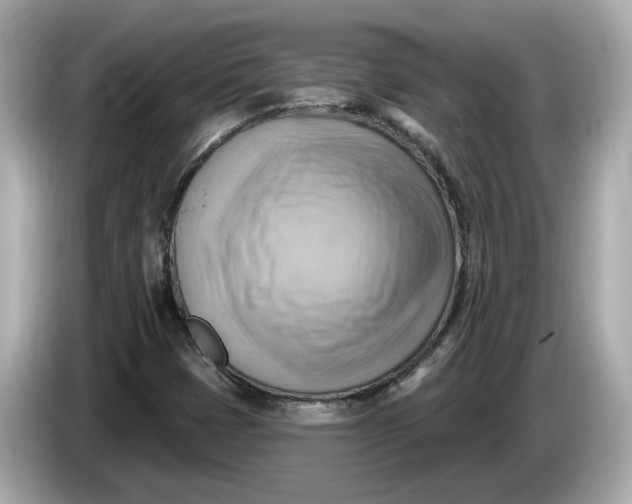 X0000086001401200704091029