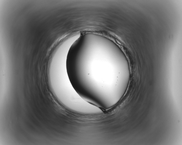 X0000086001402200704091029