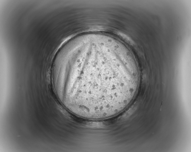 X0000086001409200704091029