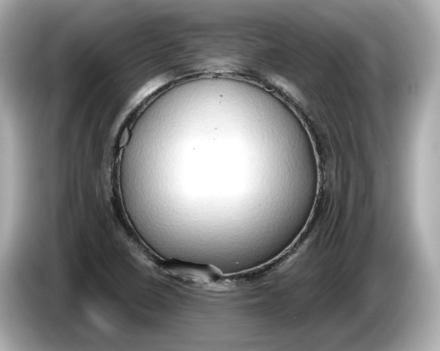 X0000086001410200704091029