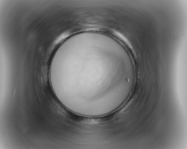 X0000086001411200704091029