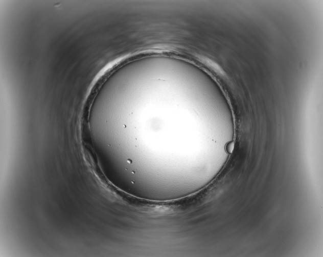 X0000086001412200704091029