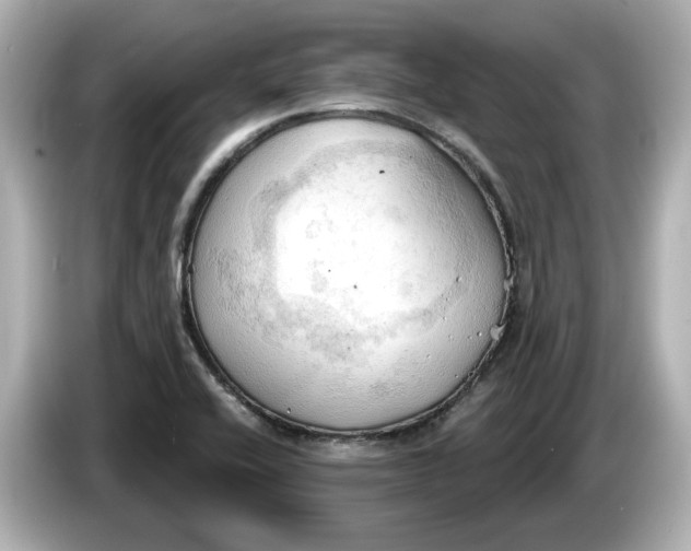 X0000086001416200704091029