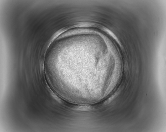 X0000086001417200704091029