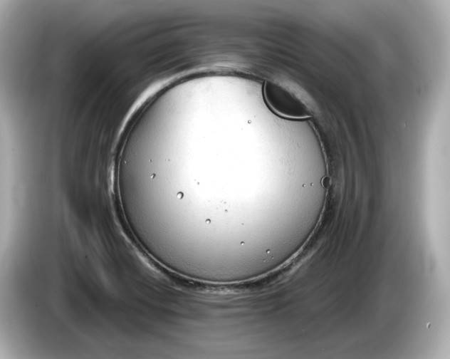 X0000086001420200704091029