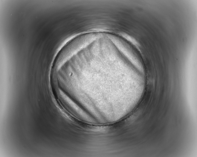 X0000086001423200704091029