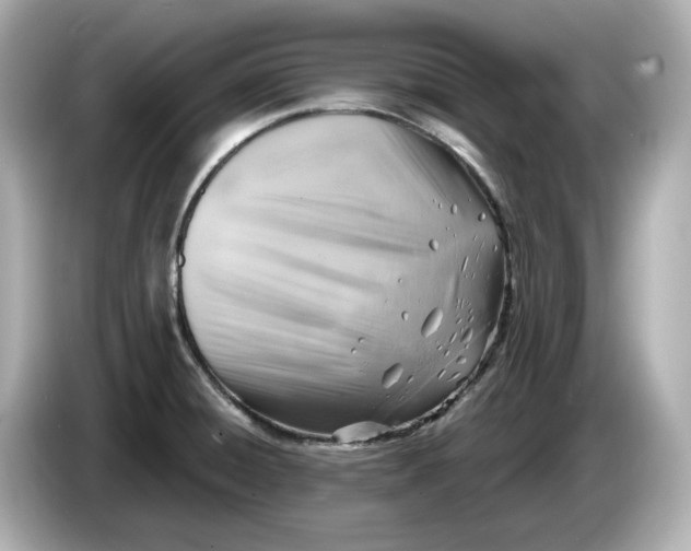 X0000086001428200704091029