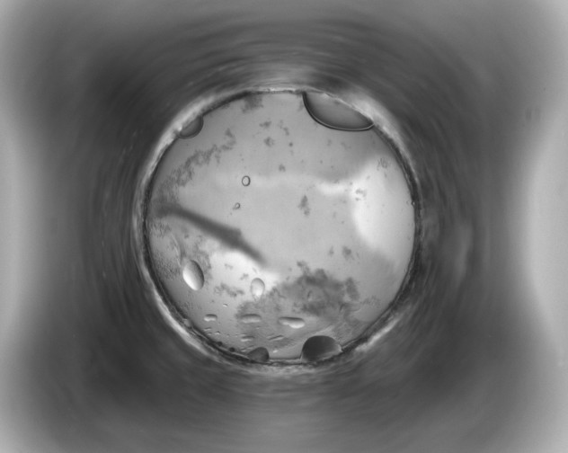 X0000086001429200704091029