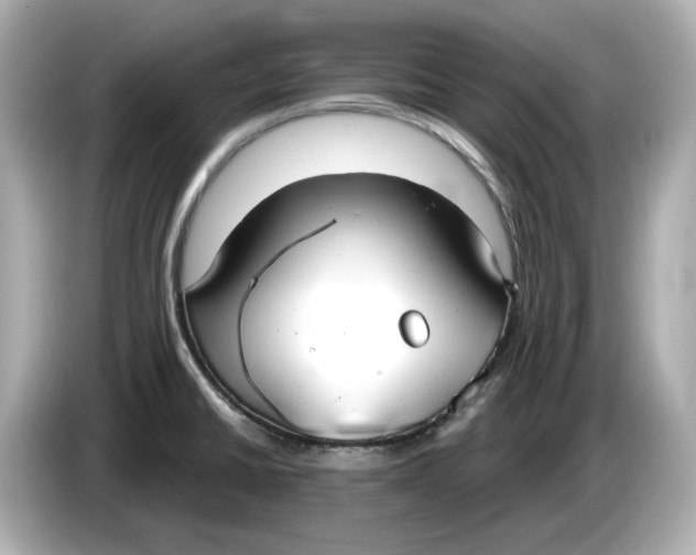 X0000086001430200704091029