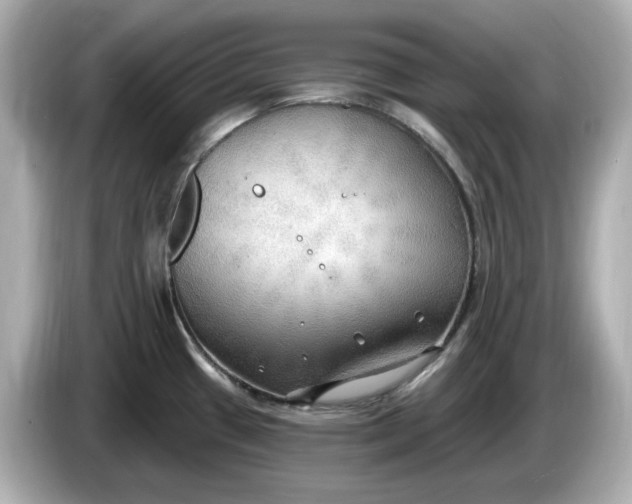 X0000086001433200704091029