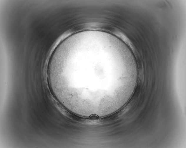 X0000086001435200704091029