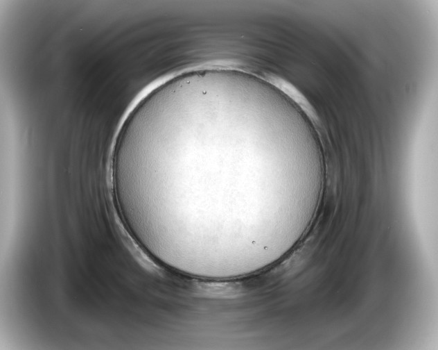 X0000086001436200704091029