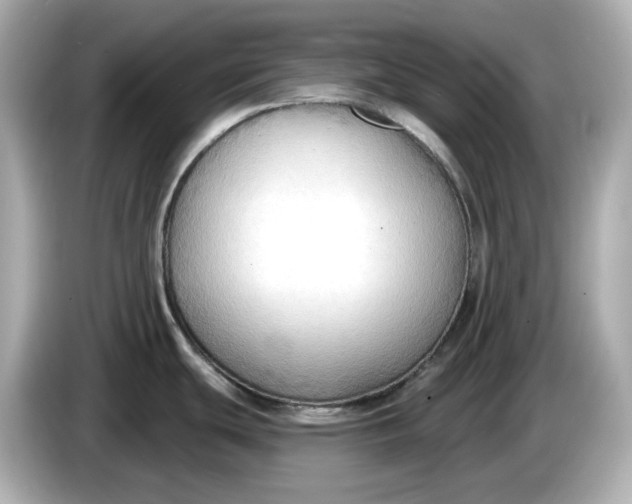 X0000086001439200704091029