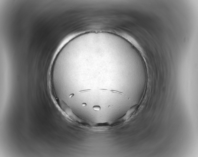 X0000086001440200704091029