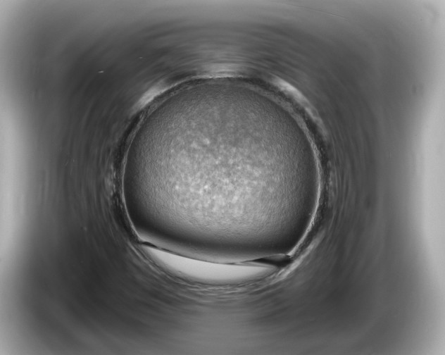 X0000086001449200704091029