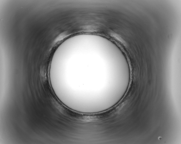 X0000086001451200704091029