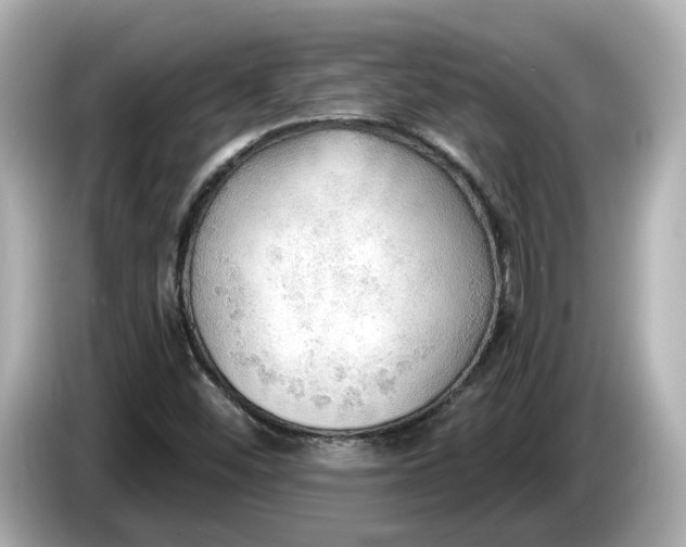 X0000086001452200704091029