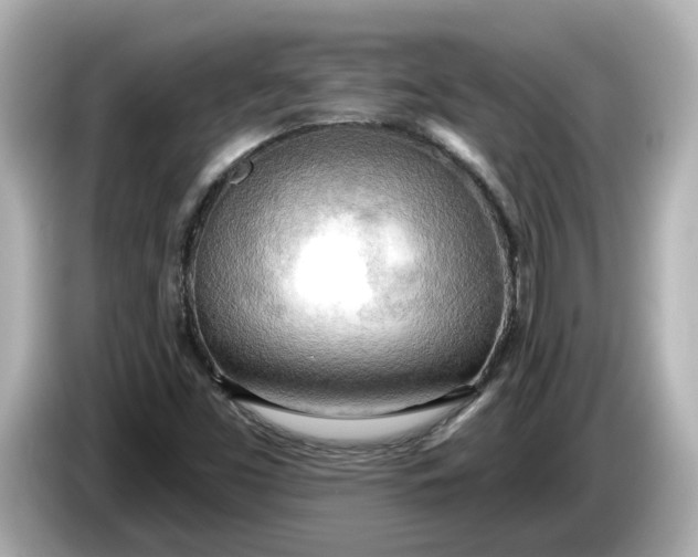 X0000086001453200704091029