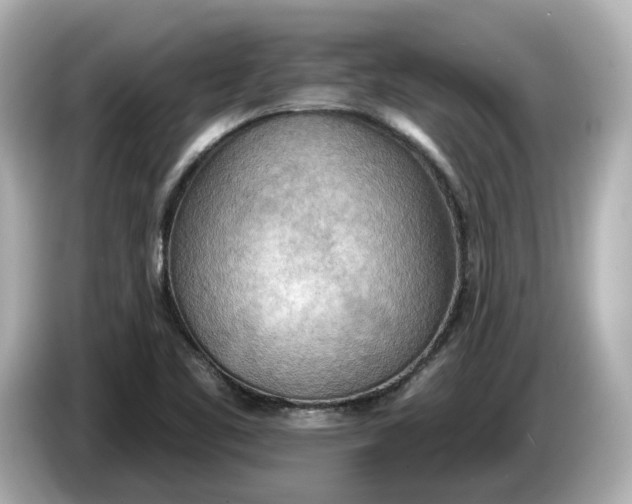 X0000086001461200704091029