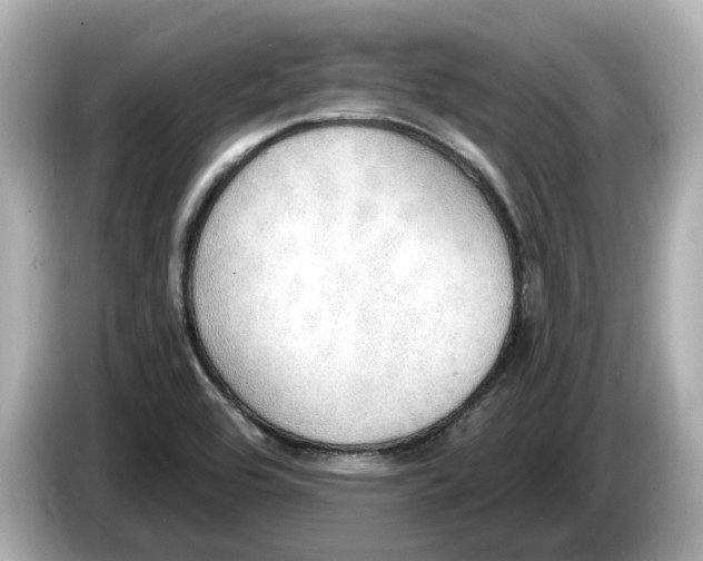 X0000086001464200704091028