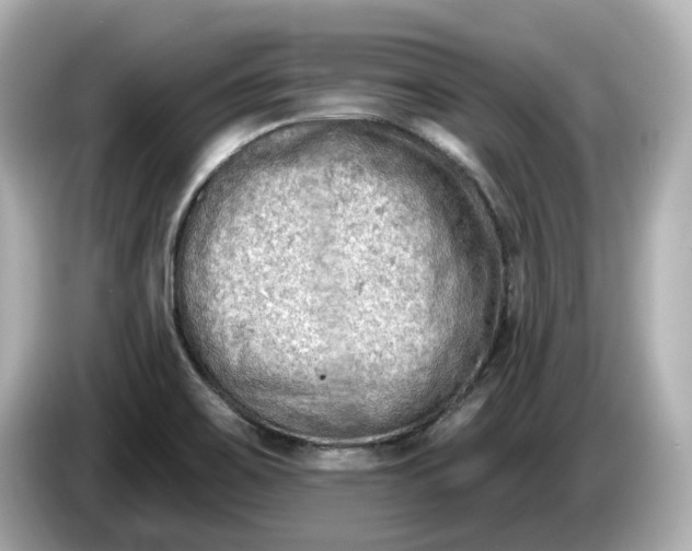 X0000086001467200704091028