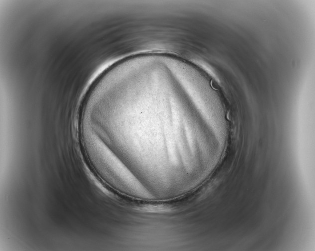 X0000086001468200704091028