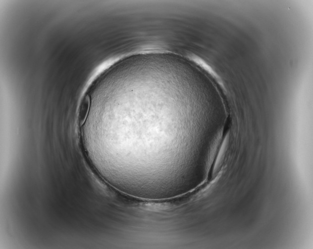 X0000086001469200704091028