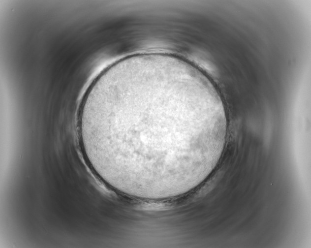 X0000086001470200704091028