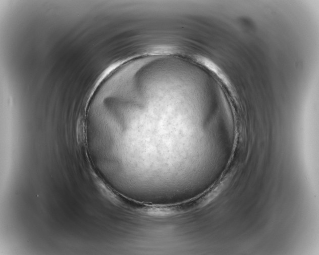 X0000086001473200704091028