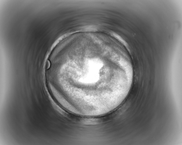 X0000086001475200704091028