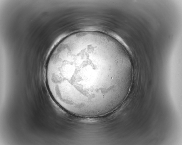 X0000086001476200704091028