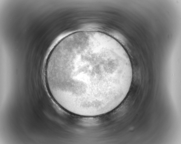 X0000086001478200704091028