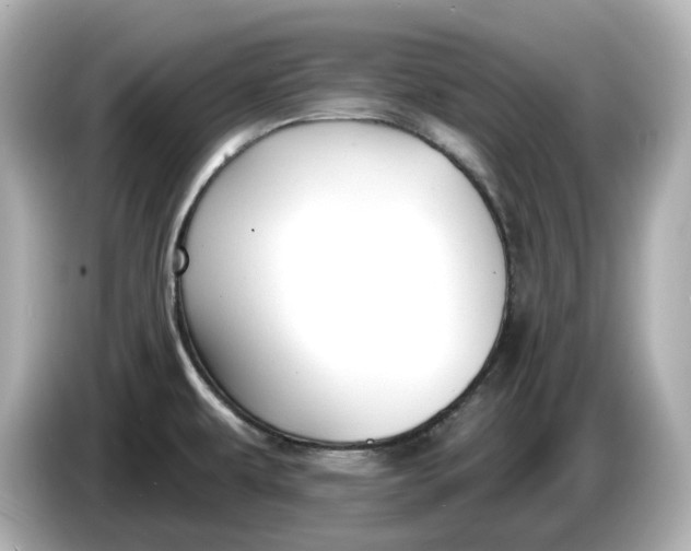 X0000086001479200704091028