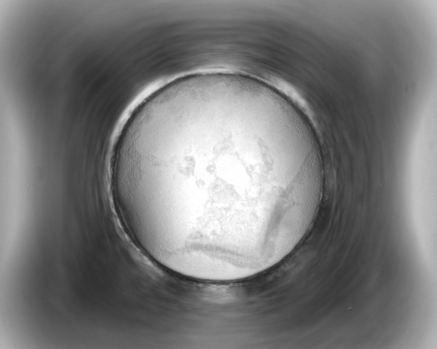 X0000086001480200704091028