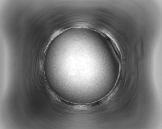 X0000086001481200704091028