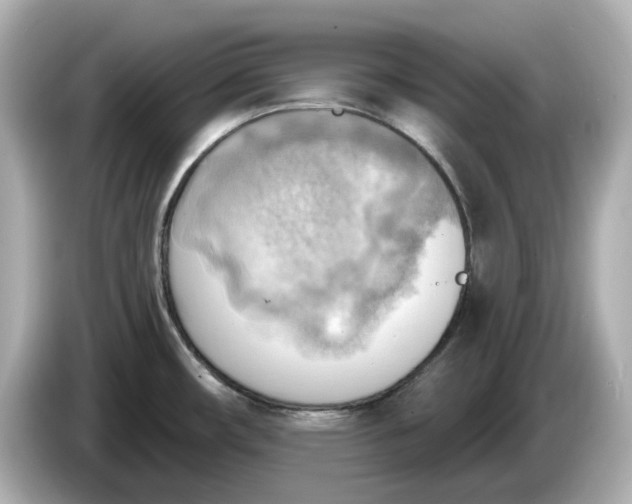 X0000086001482200704091028