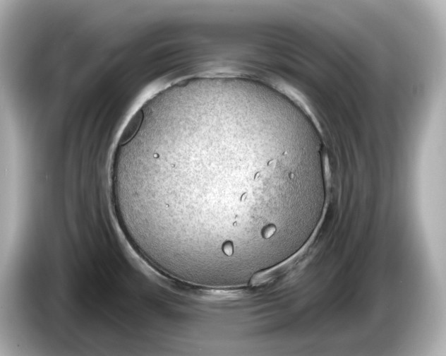 X0000086001483200704091028