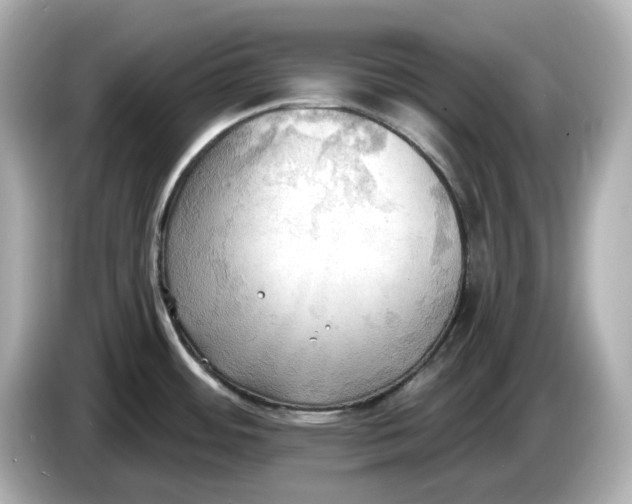 X0000086001484200704091028