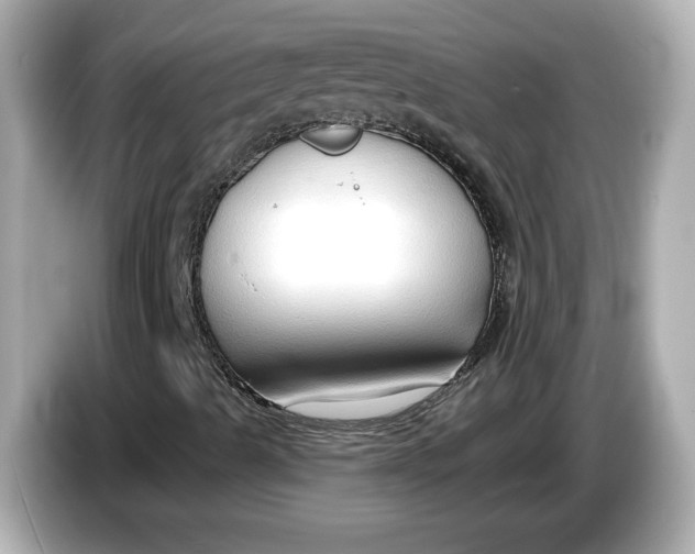 X0000086001489200704091028