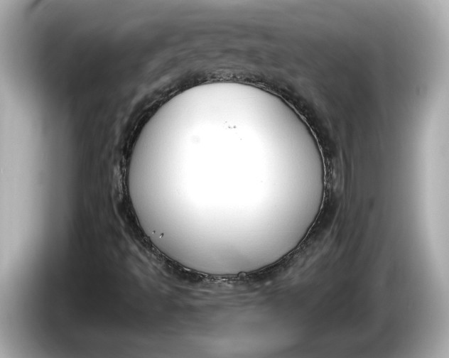 X0000086001493200704091028