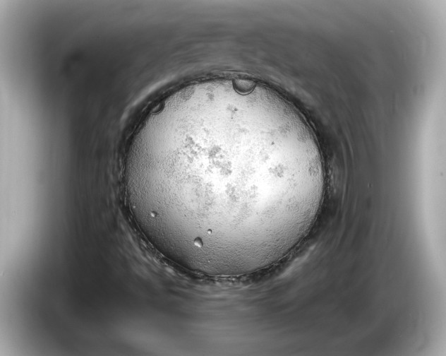 X0000086001494200704091028