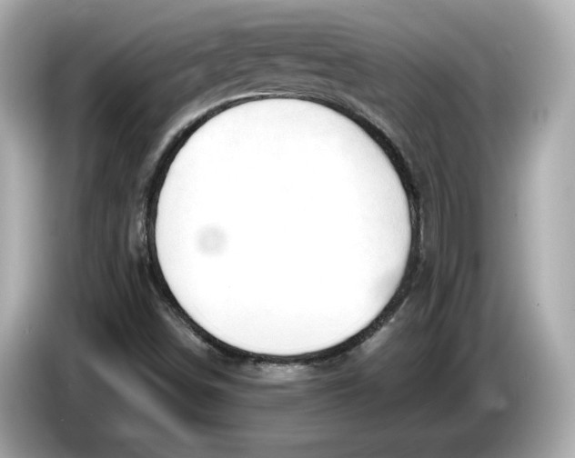 X0000086001498200704091028