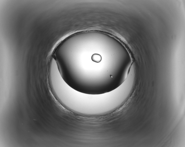 X0000086001500200704091028