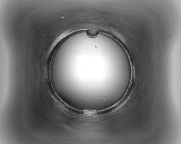 X0000086001501200704091028