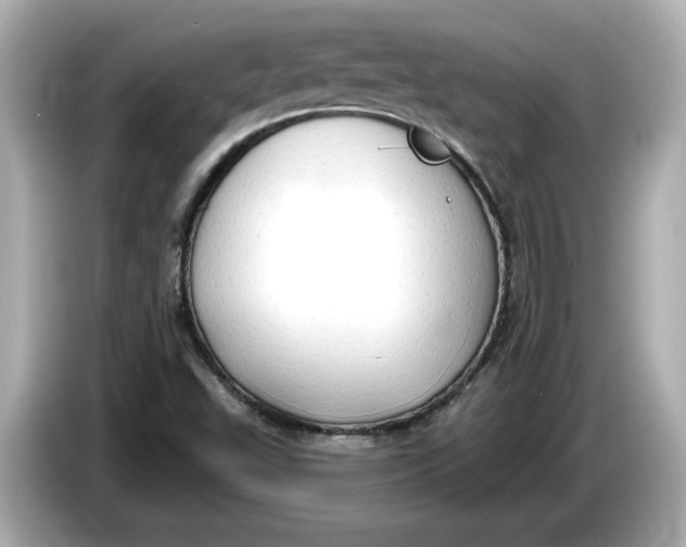 X0000086001503200704091028