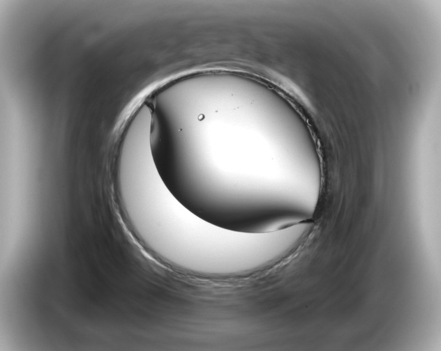 X0000086001504200704091028